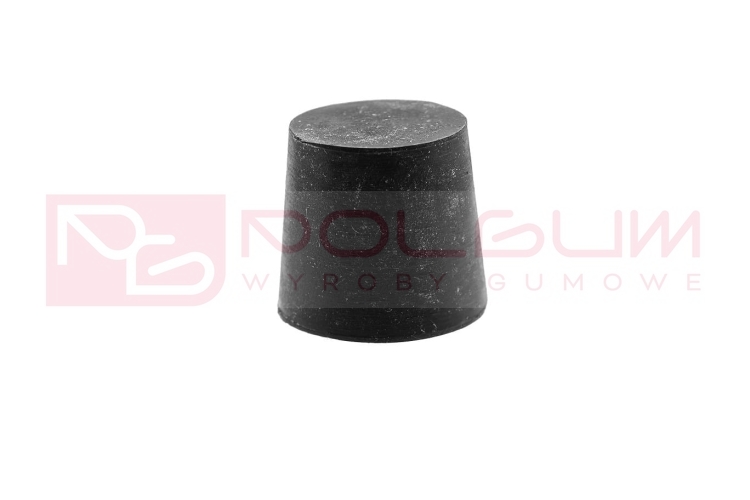 DSC07818 miniaturka.JPG