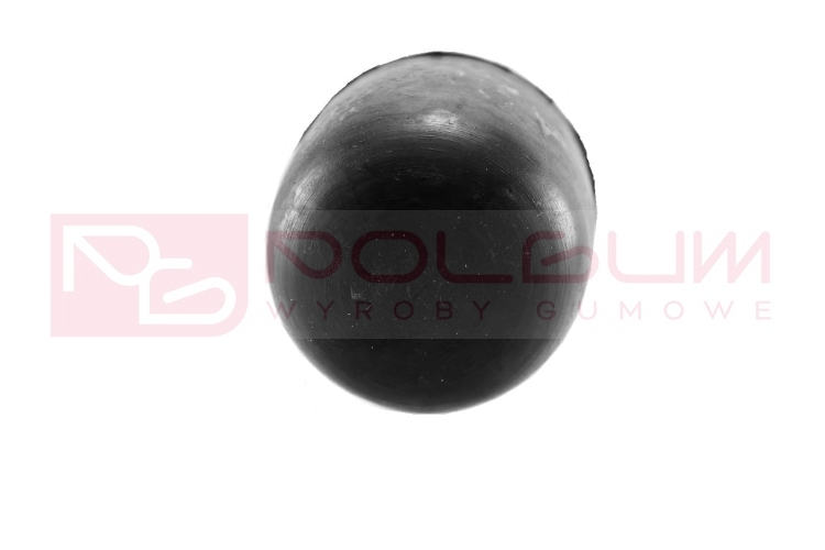 DSC08213.JPG