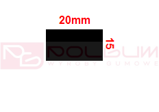 PP7.png
