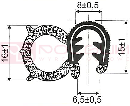 B4   B-29  -.png