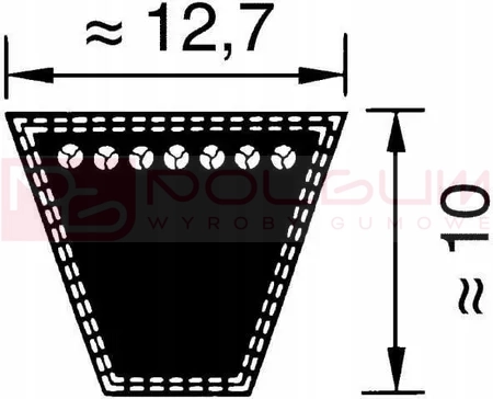 SPA.webp
