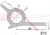 sp-116.jpg